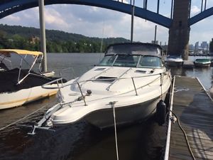 1995 Sea Ray Weekender