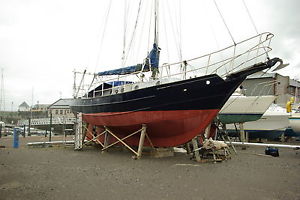 Sailing Cruiser