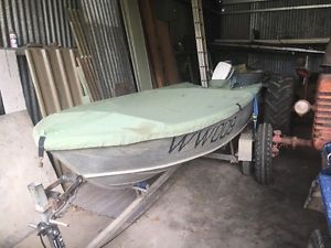 Tinny aluminium boat