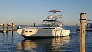 1987 Sea Ray 390 Express Cruiser