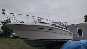 1987 Sea Ray Weekender