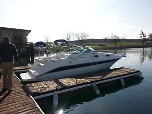 1995 Sea Ray Sundancer 250 + gear