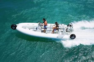 2014 Sealegs 7.1m Sport Rib