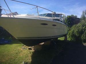 1987 Sea Ray sundowner