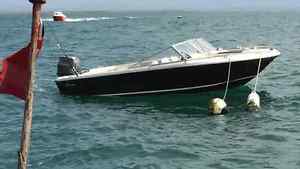 Broom Scorpio speedboat,fishing boat,suzuki 55hp 2stroke