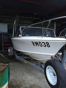 15ft 4.5m fishing boat