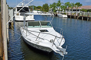 1991 Sea Ray Laguna