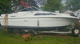 25 Searay Sundancer with trailer