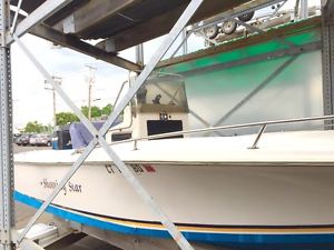 Wellcraft center console 17' Mercury 115hp