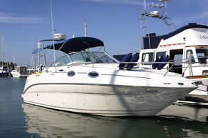 SeaRay 240 –powered by a 200hp Nanni TDI