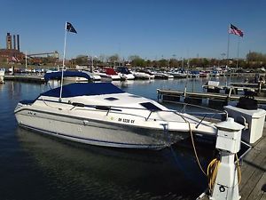 1993 Sea Ray 250ec