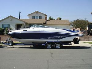 2007 Rinker