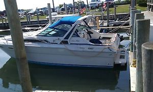 1987 Searay 300 cabin cruiser