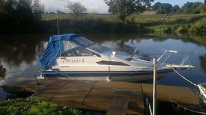 BAYLINER 2155 sunbridge 280hp v8 omc cobra with trailer