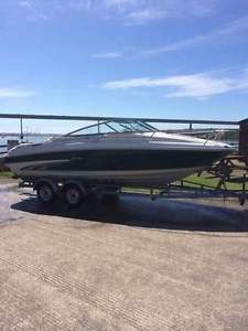 SEARAY 190 signature cuddy cabin