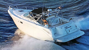 2002 Sea Ray 290AJ