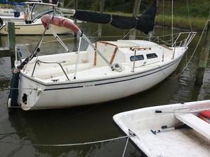 1986 Starwind 223