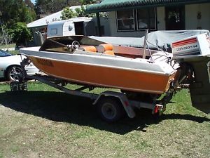 Savage Ski / Fishing Boat   115 HP Johnson