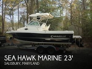 2004 Sea Hawk Marine 230 Walk Around