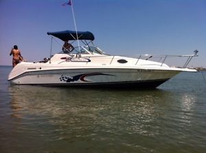 1995 Rinker