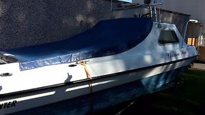 Sea Hog 16ft 50 hp Evinrude VRO