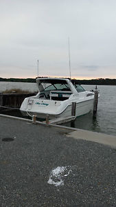 1992 Sea Ray sundancer