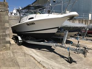 Wellcraft Fishing boat 23ft with 225 Verado