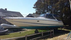 1993 sunseeker thunderhawk