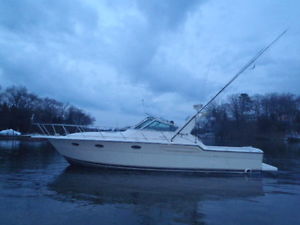 1993 TIARA OPEN EXPRESS