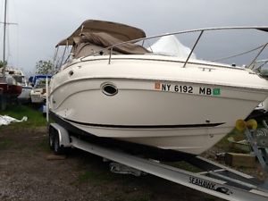 2006 Rinker Fiesta Vee