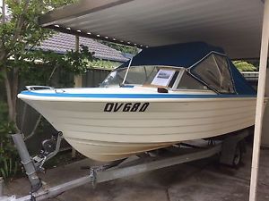 Savage Runabout 16ft & Evinrude 115 hp Motor