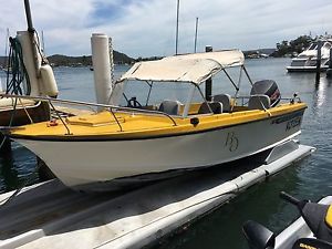 Haines Hunter V17R,130hp Johnson V4,Solid Boat ,Great family boat Collectable