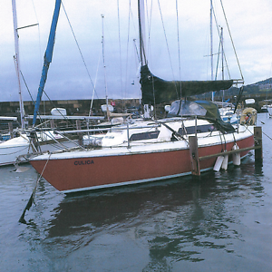 Sailing Cruiser