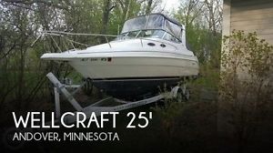 1999 Wellcraft 2400 Martinique