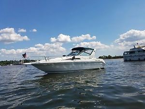 1993 Sea Ray Sundancer 300