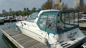 1995 Sea Ray 300 Sundancer