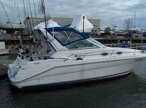 1995 Sea Ray 290 DA