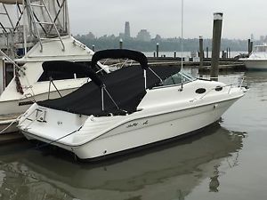 1993 Sea Ray  250