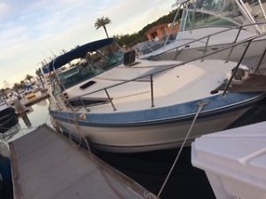 1987 SeaRay 268 Sundancer