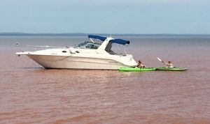 97 Sea Ray Sundancer 300