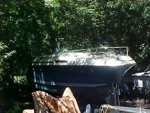 1977 Century Cabin/fishing 22 foot mercruiser V8