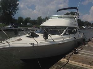 Bayliner 2858 8.1L Merc HO with Thruster & Arch