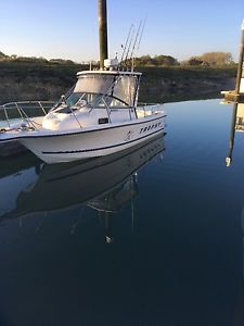 bayliner trophy 2052 sportsfisher fishing boat/day boat